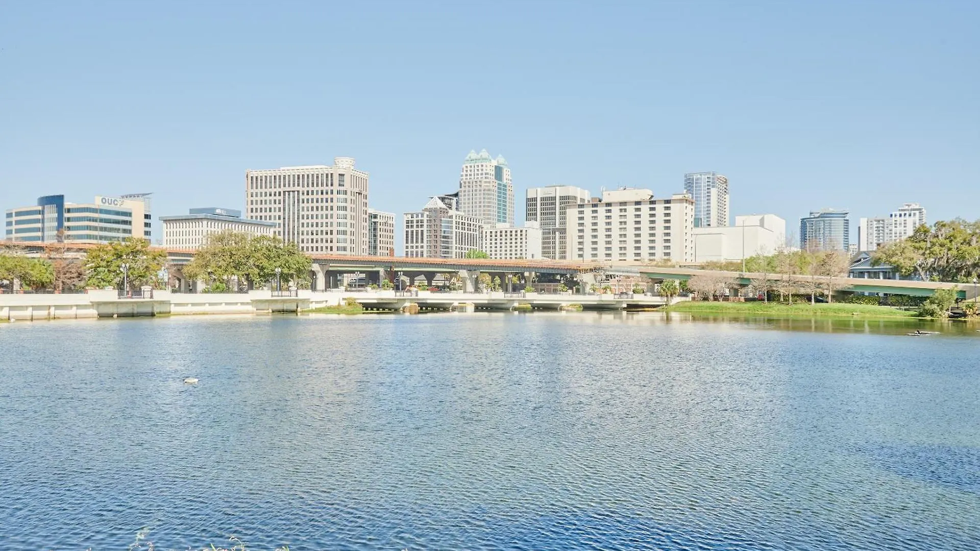 Hotel Sonder Wellborn Orlando