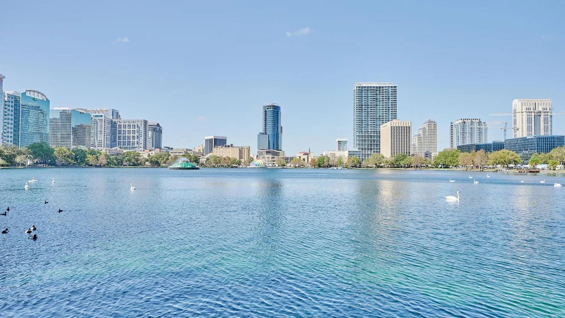 Sonder Wellborn Hotell Orlando