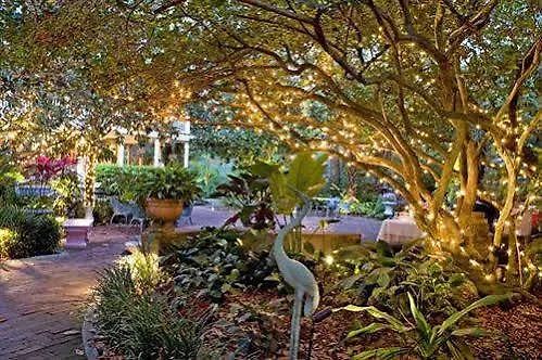 Sonder Wellborn Hotell Orlando